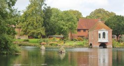 The Pond Harrietsham Wallpaper