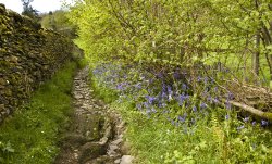 Troutbeck track from the church Wallpaper