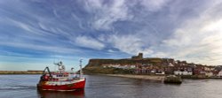 Home Safe,Whitby Wallpaper