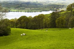 Windermere from Robin lane Wallpaper