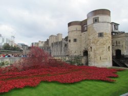 poppies at the Tower of London Wallpaper