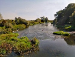 Stour Valley Summer, Spetisbury. Wallpaper