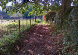 Fontmell Magna, Dorset. Wallpaper