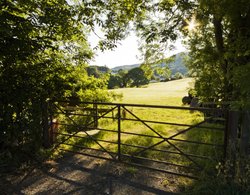 Gate and field Sunrise Wallpaper