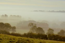 Foggy Newnham Autumn Wallpaper