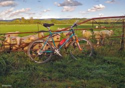 The North Dorset Trailway Wallpaper