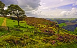 Baslow Edge View Wallpaper