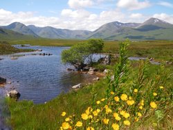 Rannoch Moor Wallpaper