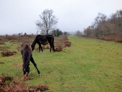 Sampford Moor Wallpaper