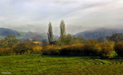 Stour Valley Autumn Wallpaper