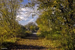 Stour Valley Autumn Wallpaper