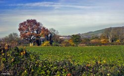 Stour Valley Autumn Wallpaper