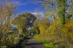 Stour Valley Autumn Wallpaper