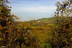 Stour Valley Autumn Wallpaper