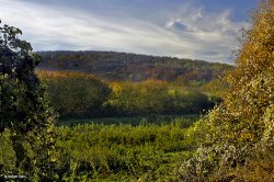 Stour Valley Autumn Wallpaper