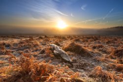 Bradgate park Wallpaper