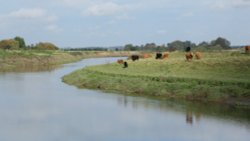 Salter's Lode, near Downham Market, Middle Level Navigations Wallpaper