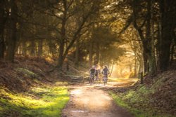 cold start  an Cannock chase Wallpaper