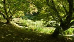 A view through the trees at Wakehurst, 8th September 2014 Wallpaper