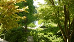 Leafy Wakehurst, 8th September 2014 Wallpaper