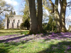 Killerton House Wallpaper