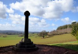 Killerton House Wallpaper