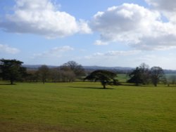 killerton House Wallpaper