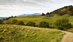 High Skelghyll Farm Wallpaper