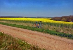 Stour Valley Spring, North Dorset. Wallpaper