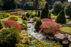 Kilver Court Gardens, Shepton Mallet Wallpaper