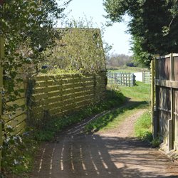 Little Scotland farm, Bilton Wallpaper