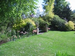 Sit and Ponder, Constable Burton Hall Gardens Wallpaper