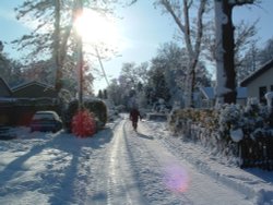 Winters Day, Warfield Wallpaper