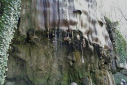 Petrified items atThe Dropping Well at Old Mother Shipton's Cave, Knaresborough. Wallpaper