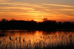 Deeping Lakes Nature Reserve Wallpaper