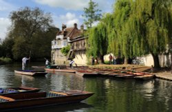 Punting on the River Cam Wallpaper