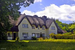 Affpuddle, Dorset. Wallpaper