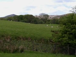 Cumbrian Landscape near Torver Wallpaper