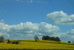 Fields around Wollaston, Northamptonshire Wallpaper