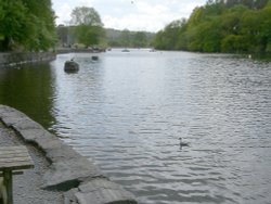 Lake Windermere at Fell Foot Park Wallpaper