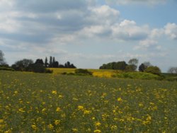 Fields around Wollaston, Northamptonshire Wallpaper