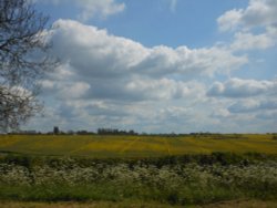 Fields around Wollaston, Northamptonshire Wallpaper