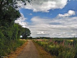 The North Dorset Trailway Wallpaper