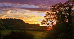 The North Dorset Trailway Wallpaper