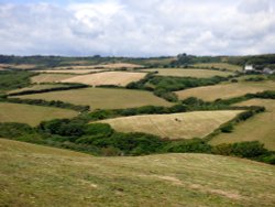 Charmouth Wallpaper