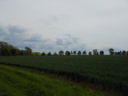 Fields around Wollaston, Northamptonshire Wallpaper