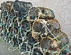 Lobster pots Wallpaper