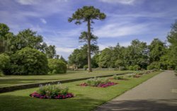 WOODSIDE GARDENS,LYMINGTON Wallpaper