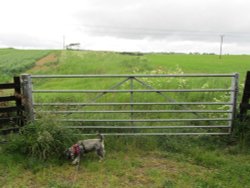 Farm Gate. Wallpaper