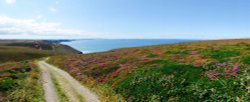 A Walk through the heather at The Beacon, St Agnes, Cornwall Wallpaper